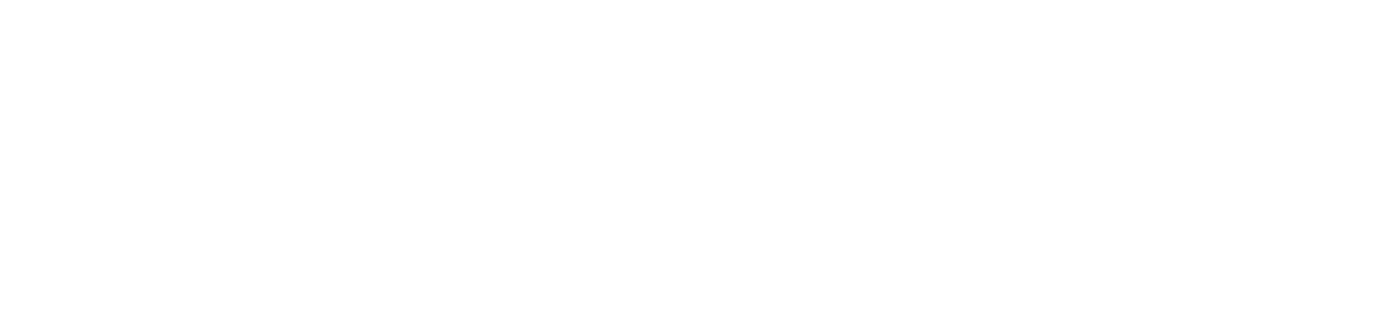 Coonecta Proteção Auto